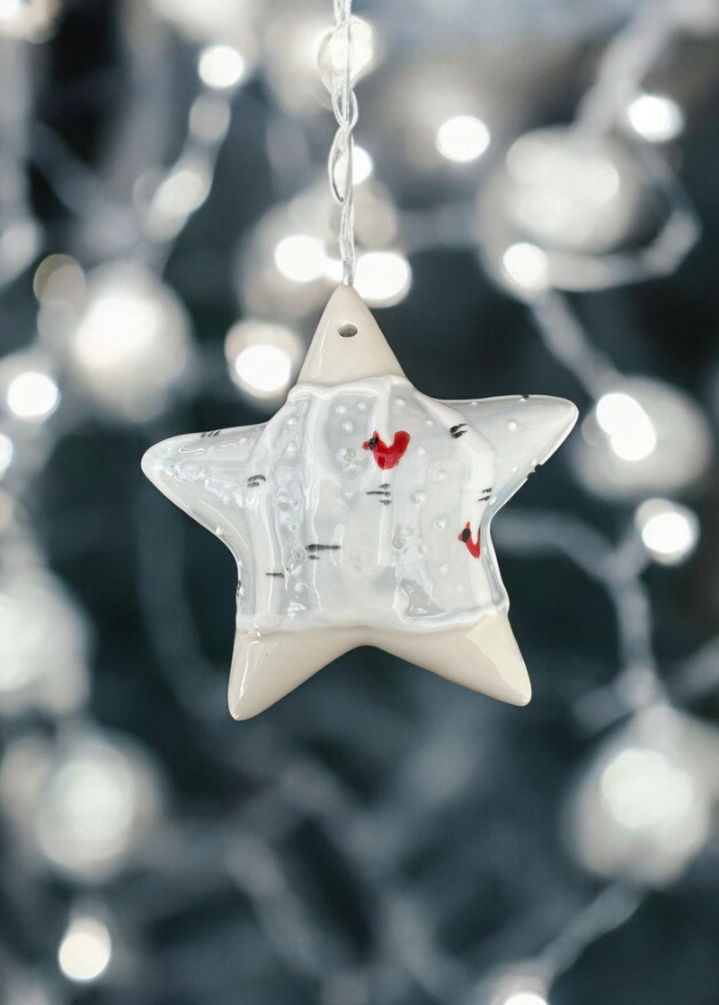 Holiday Star Ornament