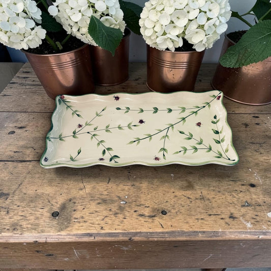 Decorative ceramic tray with floral design on a wooden surface with potted plants.