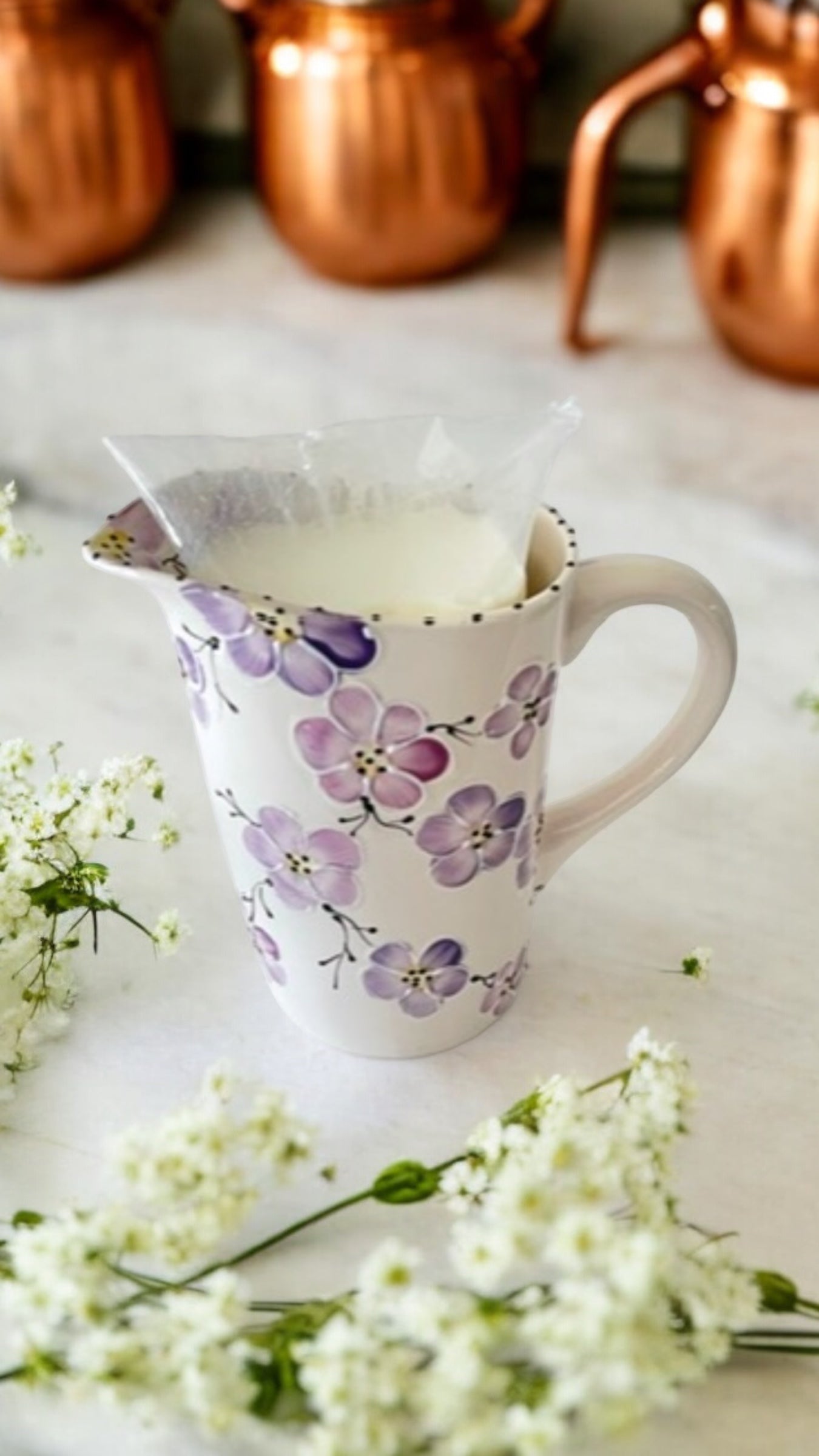 Hand-Painted Milk Bag Pitcher | Ceramic Milk Jug | Ladybird