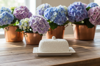 Butter Dish