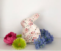 Spring Bunny  Plate - LadybirdCeramics